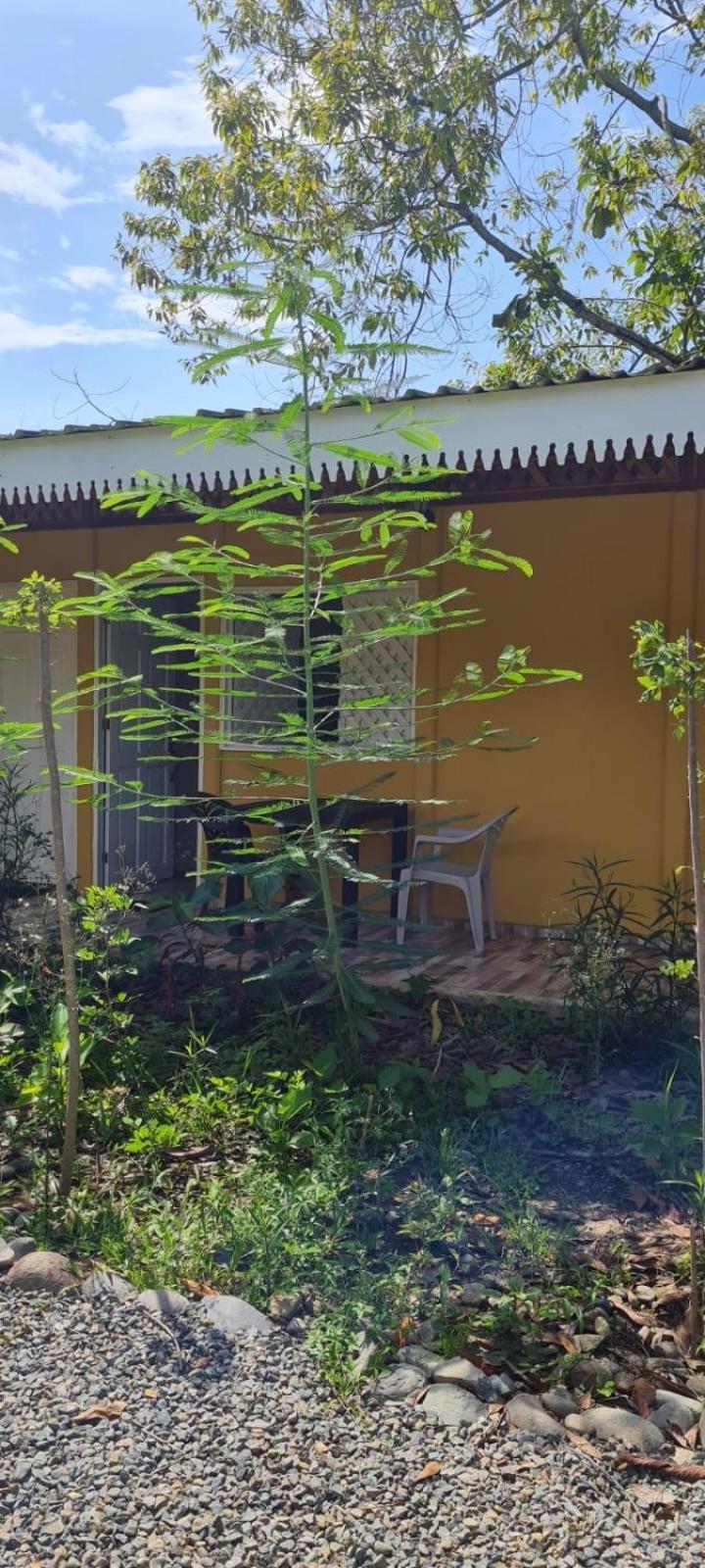 Apartamentos Sol Кахуита Стая снимка